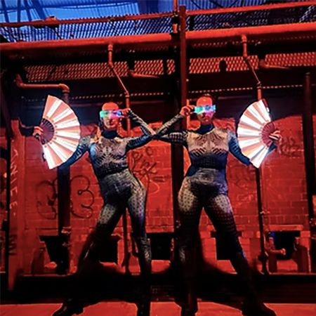 Duo LED Show