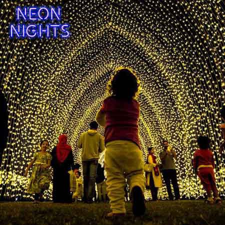 Neon Nights Light Installation