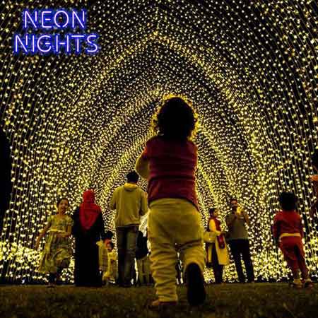 Instalación de luces Neon Nights