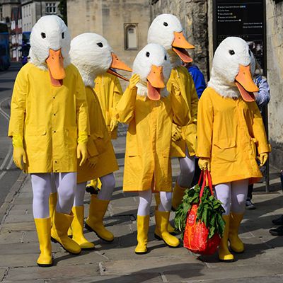 Roaming Duck Characters