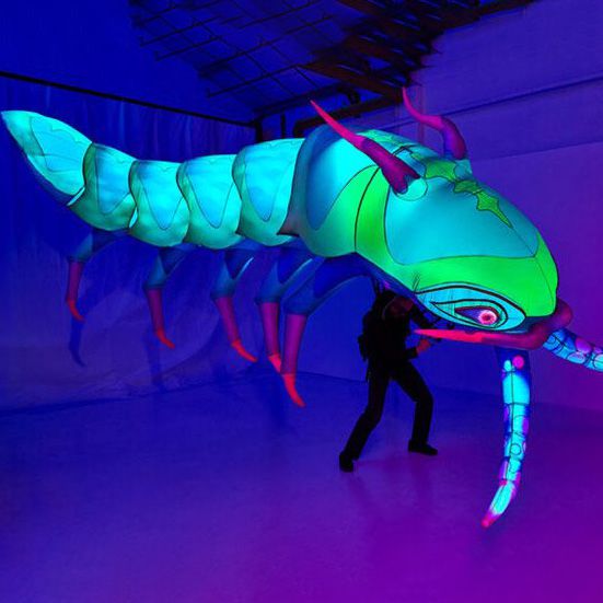 LED Sea Creature Puppet USA