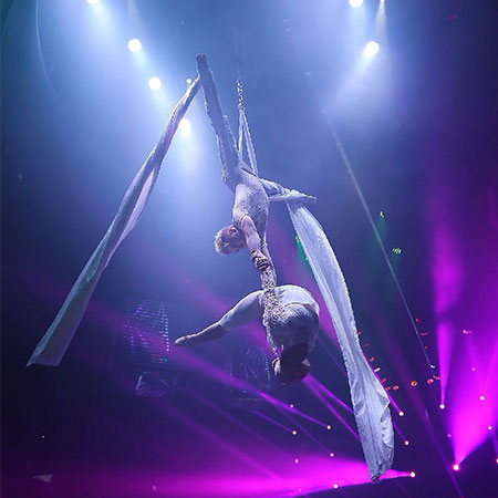 Aerial Silk Show