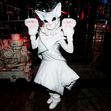 Walkabout Dancing Cats