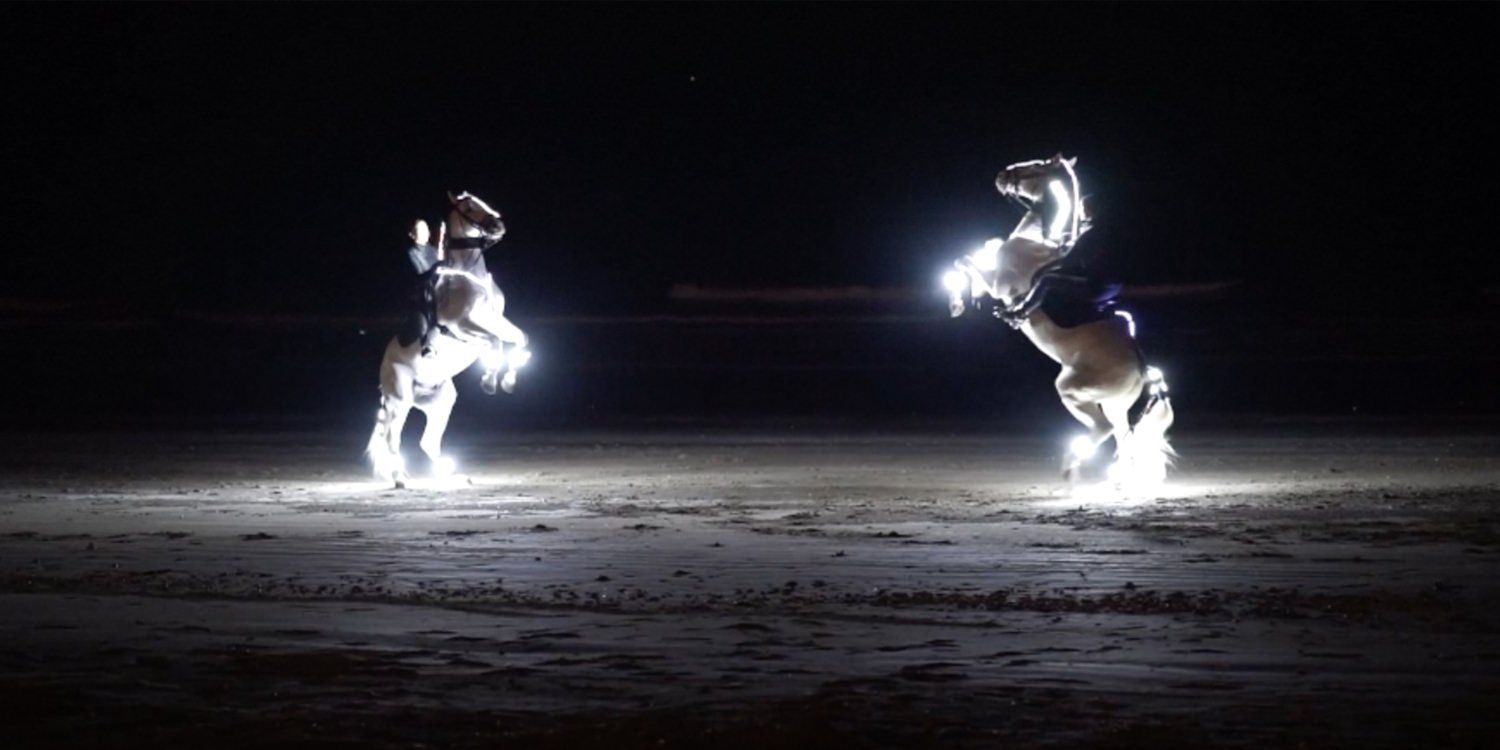 Engagement Party Hosts A Horse Show