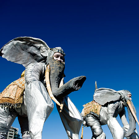 Éléphants marchant sur des échasses