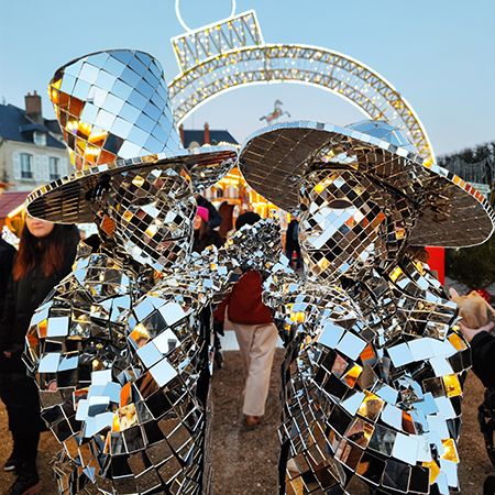 Roaming Mirror Duo France