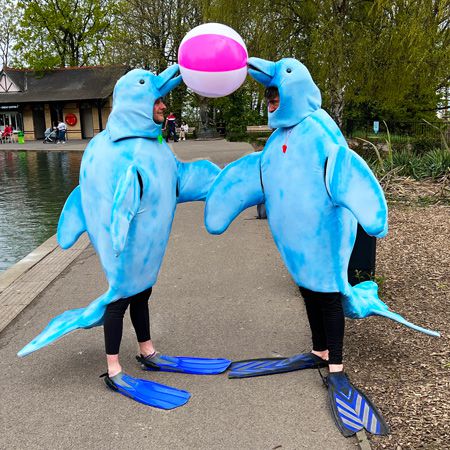 Comedy Dolphin Walkabout Act