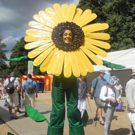 Camminatore su zanci di girasole