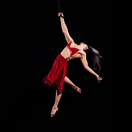 Aerial Straps Performer US
