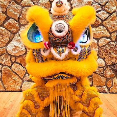 <span>Gruppo di autentica danza del leone IL</span>