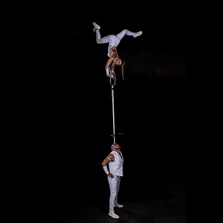 Perch Pole & Pole Balancing