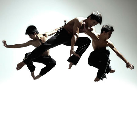 Martial Arts Performers