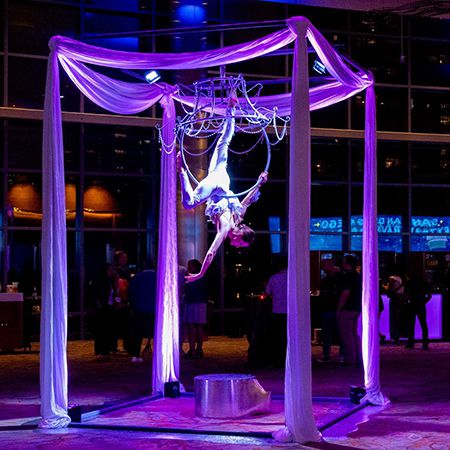 Aerial Chandelier California