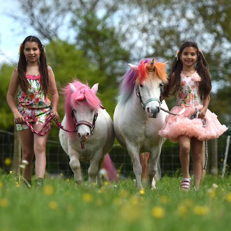 Fête des Poneys et des Licornes