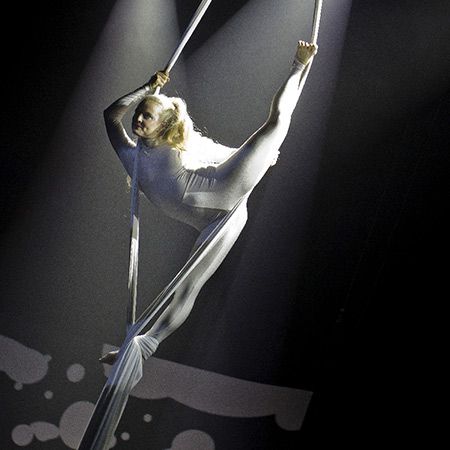 Circus revealed: Aerial Straps