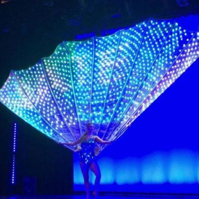 Magical LED Fan Tails Vegas