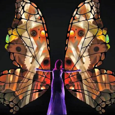 Video Mapping Butterfly