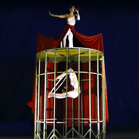 Spectacle d'acrobates dans une cage à oiseaux musicaux