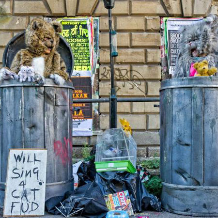 Chorale de chats