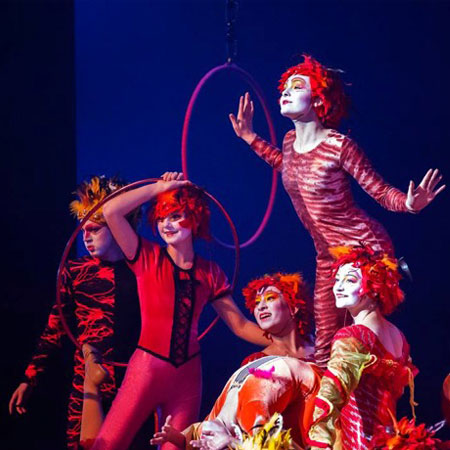 Book Le Petit Cirque  Scarlett Entertainment