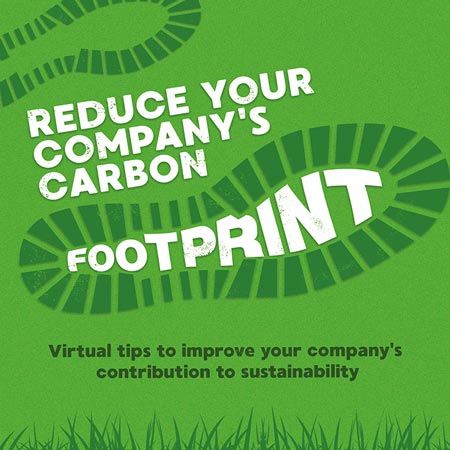 Virtual Carbon Footprint Quiz