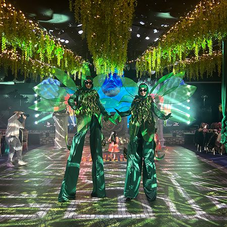 Roaming Beetle Stilt Walkers