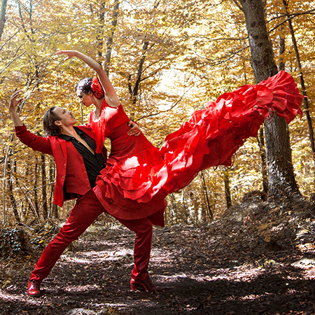 Spectacle de flamenco à Barcelone