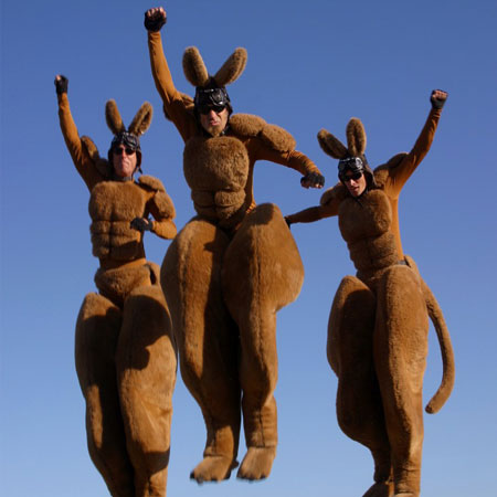 Bouncing Kangaroos