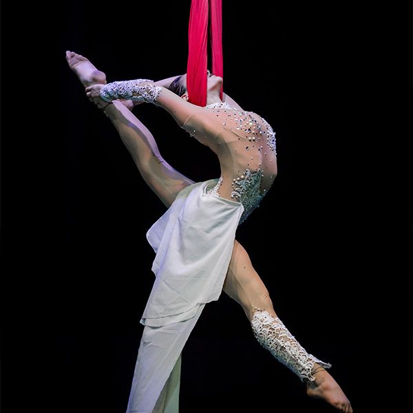 Cerceau aérien  Danseuse aérienne