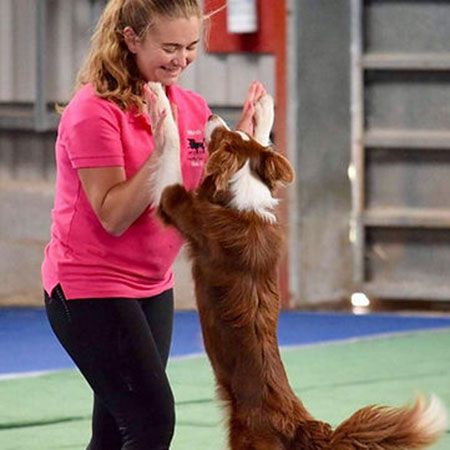 Performing Dancing Dogs UK 