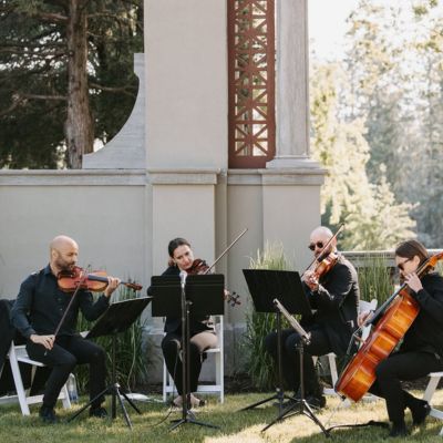 Professional String Performers 