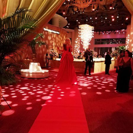 Living Red Carpet Hostess NYC