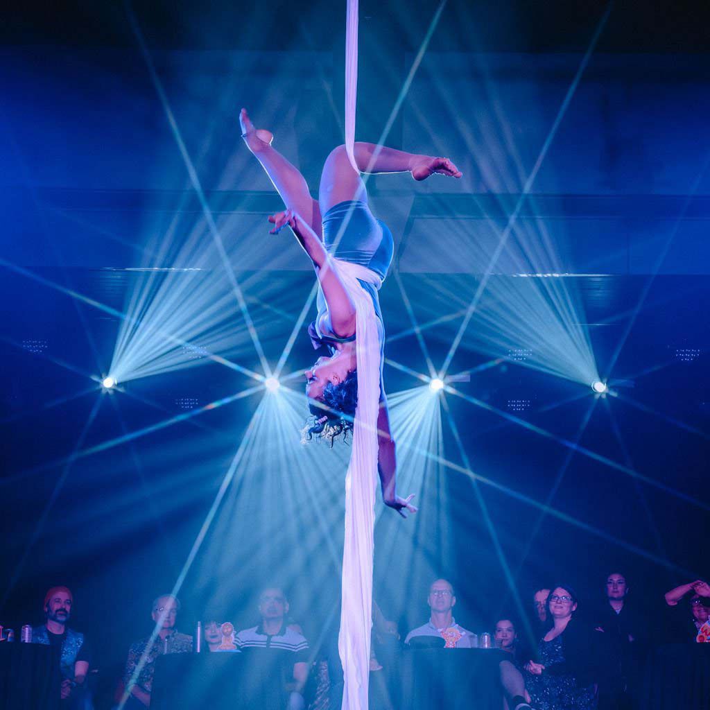 Book a Silks Aerialist Vancouver | Scarlett Entertainment