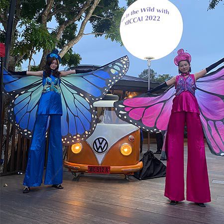 Échasses papillon Singapour