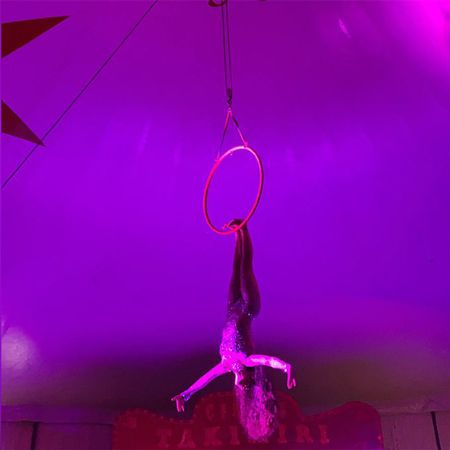 Aerial Hoop & Heels Performer
