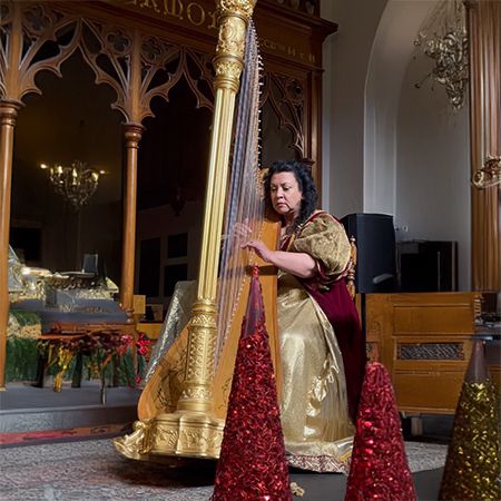 Event Harpist Alberta