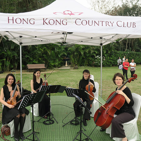 Quartetto d'archi femminile elegante