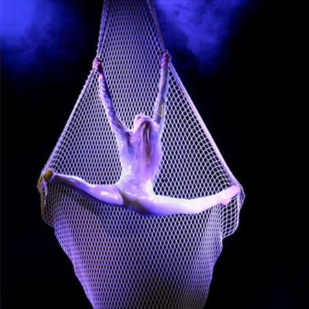 Net Aerial Dancer