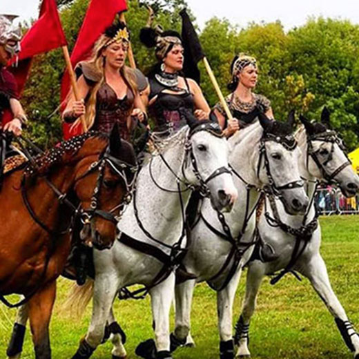 Jousting Displays UK