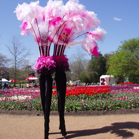 Blossoming Stilt Walkers