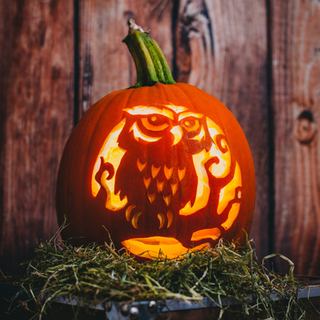 Escultor de Linternas de Calabaza