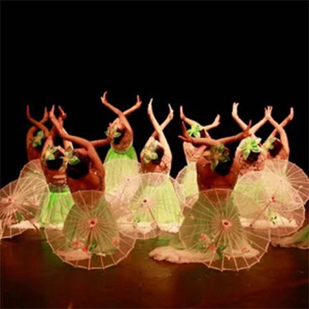 Chinese Cultural Dance Show