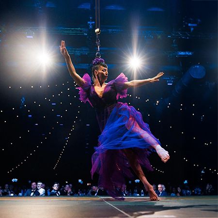 Artiste aérien et de cirque