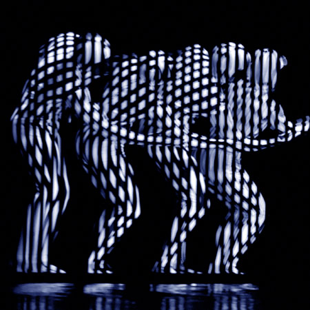 Optische Täuschung Visuelle Zebra