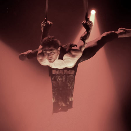Male Aerial Performance