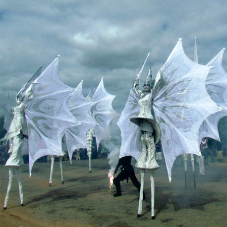 White Wings