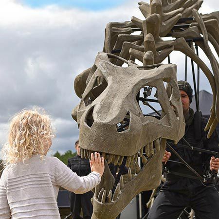 Roaming Dinosaur Skeletons
