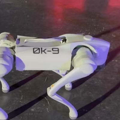 The Robot Dog Experience