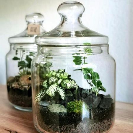 Classe de terrarium virtuel