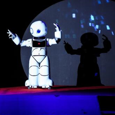 Shanghai Interactive Robot